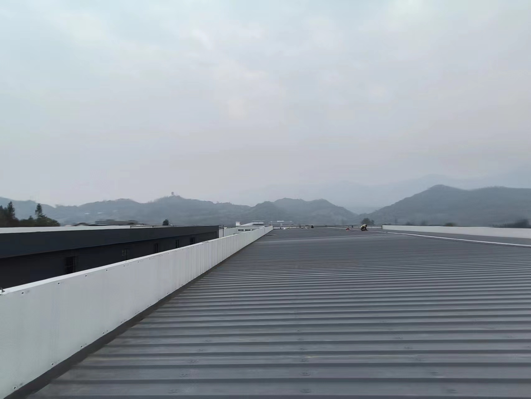 8fc4830cb26aea0245b02bf63c1d511.jpg