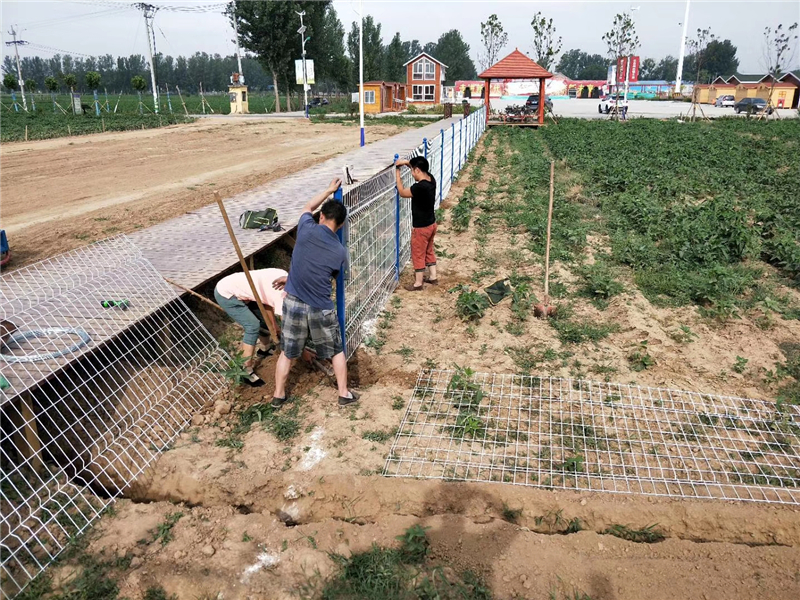 �ӱ���ƽˮ���Θ������ھW(w��ng)���b�F(xi��n)��